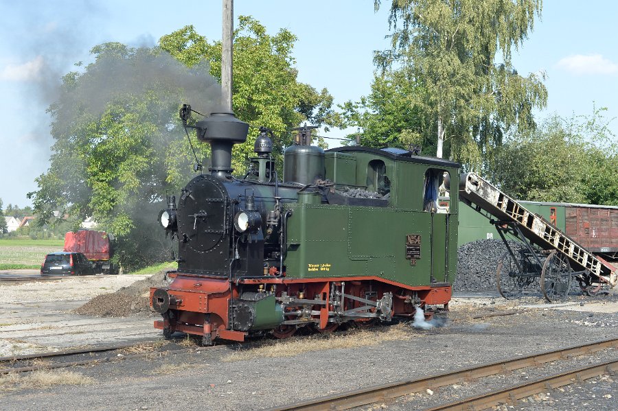 Lok 54 Döllnitzbahn 2015 August 02